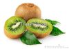 Fresh Kiwi Fruits