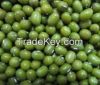 Green Mung Beans