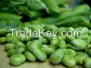 Broad Beans