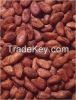 Cocoa Beans