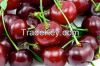 Fresh Cherries