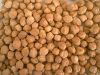 DESI CHICKPEAS