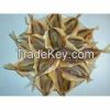 Dried Yellow Stripe Fish