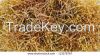 Dried Sargassum seaweed with high quality