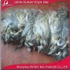 Sell Remy human hair extension grey human hair weaving