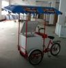moving tricycle freezer