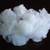 Virgin and Recycled Polyester Staple Fiber