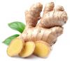 Wholesale organic fresh ginger price