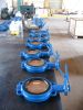 butterfly valve