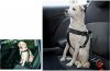 Pet Travel Safety Belt For Dogs