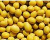 Sell soybean extract