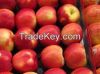 Fresh  Red fuji apples