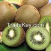 Fresh Grade 1 Kiwi Fruits