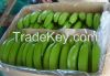 Fresh Green Cavendish Bananas
