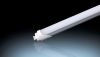 Sell 2ft 10W Top quality led T8 900lm frosted cover led T8 tube light