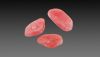 Sell Rhodochrosite / Rodocrosita Ortiz / Lapis lazuli