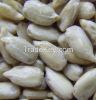 Hulled Sunflower Seed Kernels