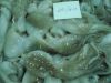 Sell Octopus whole clean