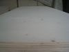 Sell packing plywood