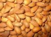 Almond Nuts, Macademia Nuts, Cashew Nuts, Hazelnuts, Pecan Nuts, Walnuts, Pistachio Nuts, Chestnuts, Available
