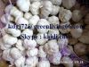 we export 2013 fresh garlic /white garlic /good price