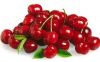 FRESH CHERRIES AND BERRIES FRUITS FOR SALE supplied from Germany