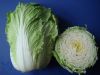 Fresh celery cabbage supplied from Germany