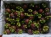 Sell Fresh Mangosteen