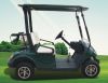 offer superior electric golf carts 2seats and 4seats