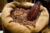 COCOA BEANS FOR SALES