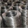 Sell Galvanized Iron Wire