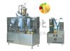 Flavoured Juice Gable-Top Hot Filling Equipment (BW-1000-2)