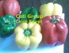 Sell capsicums
