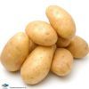 Wanna sell potatoes