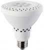 LED Par light