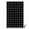 300W Monocrystalline Solar Module