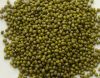 New crop green mung bean