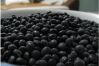 China new crop small black beans