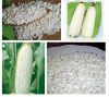 Non GMO White Corn