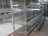 Trustworthy Frame Layer Cage Manufacturer /A Frame Laying Hen Cage