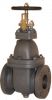 Marine Cast Iron Gate Valve JIS F7363 5K65