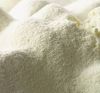 Skimmed Milk Powder