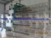 we can sell all kinds of Poultry Equipment