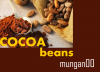 Cocoa beans from the source