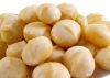 Sell Raw Macadamia Kernel, Roasted, Salted &amp; Organic Supplier