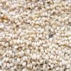 Bangladeshi small white sesame seed provided