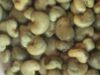 Cashew Nuts