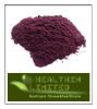 Blueberry Extract/Blueberry powder