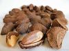 Brazil Nuts for sale