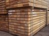 Mahogany Timber for sale
